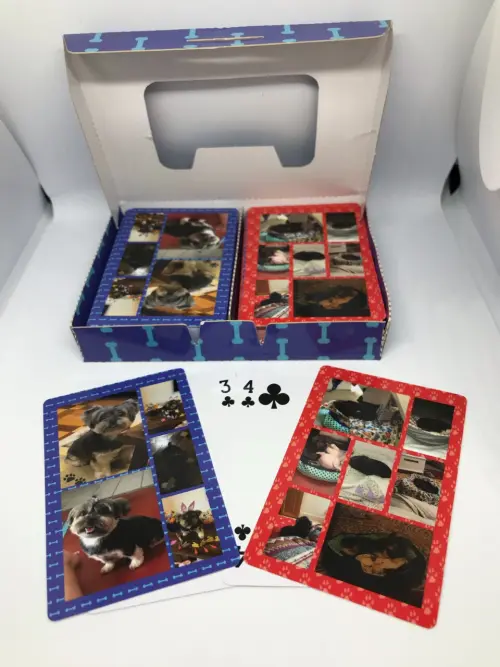 Baralho Duplo Personalizado pcv