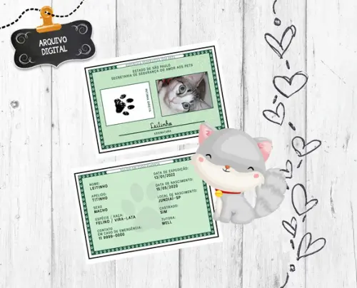 Rg de Pet Arte Digital personalizada para cachorro gato