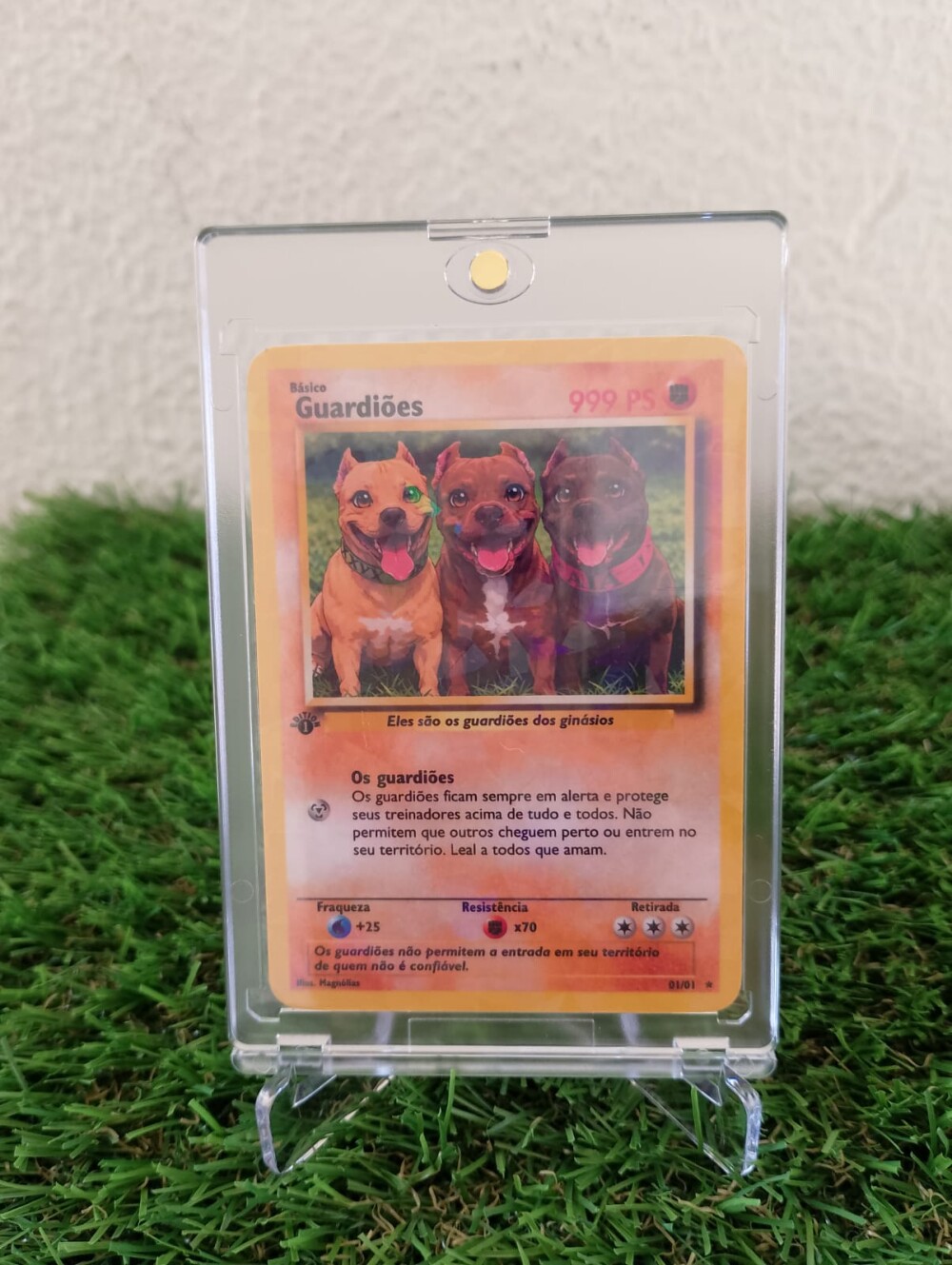 Carta Pokémon Personalizada+Suporte Expositor Acrílico