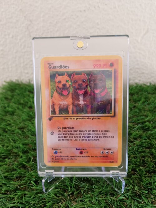 Carta Pokémon Personalizada+Suporte Expositor Acrílico