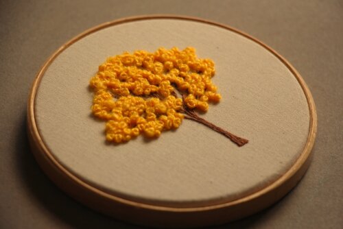 Ipê Amarelo