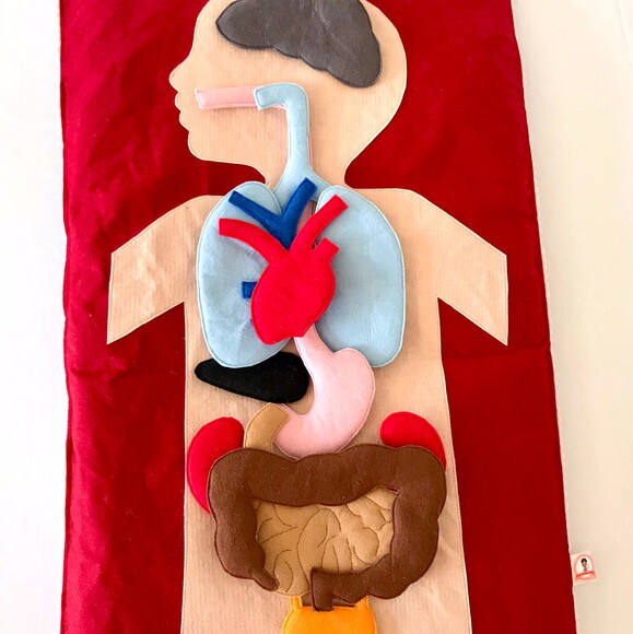 Painel Corpo Humano
