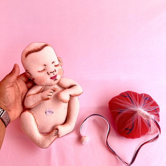 Pelve e Bebe com Placenta
