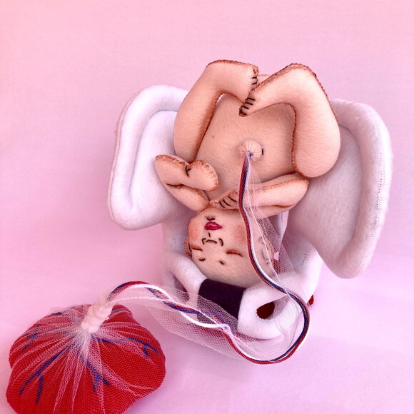 Pelve e Bebe com Placenta