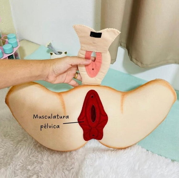 Pélvica e Musculatura
