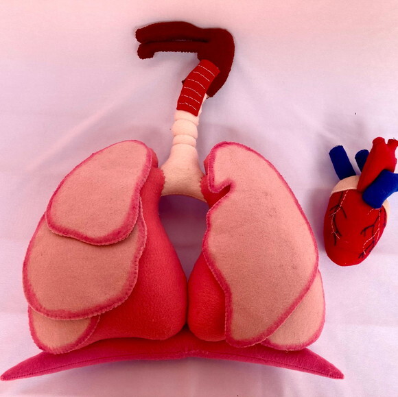 Sistema Respiratório