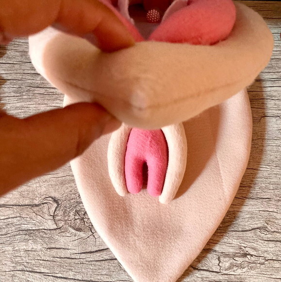 Vulva Didática