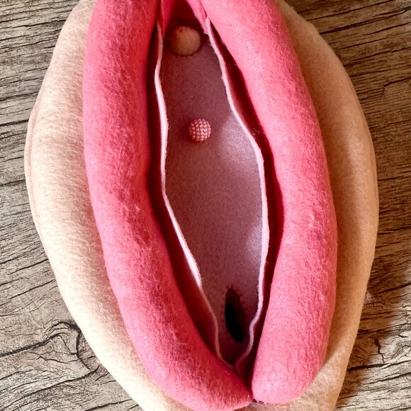 Vulva Didática