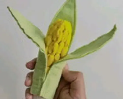 Kit frutas, legumes e verduras