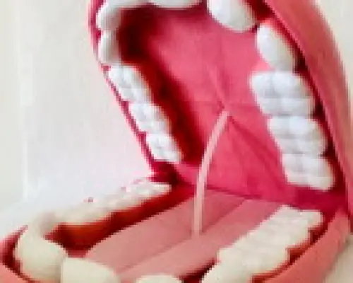 Boca lúdica