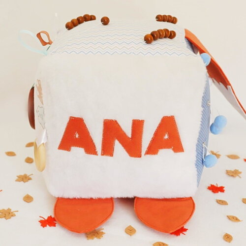 Cubo Sensorial Raposa