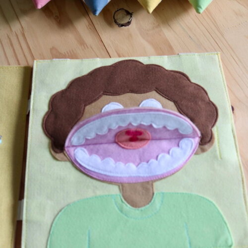 Livro Missão Sorriso