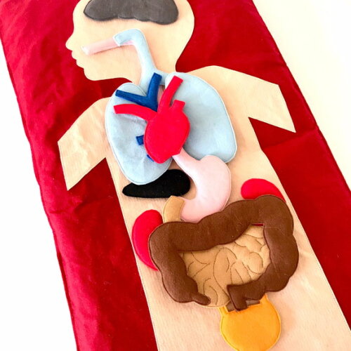 Painel Corpo Humano