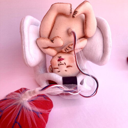 Pelve e Bebe com Placenta