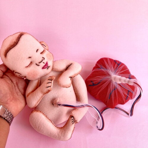 Pelve e Bebe com Placenta