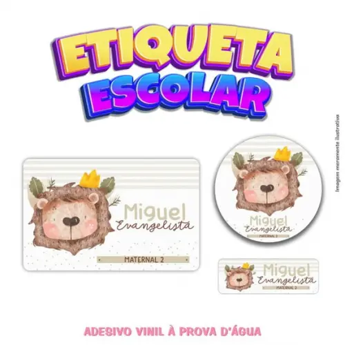 Kit Etiqueta Escolar em Vinil - Leãozinho