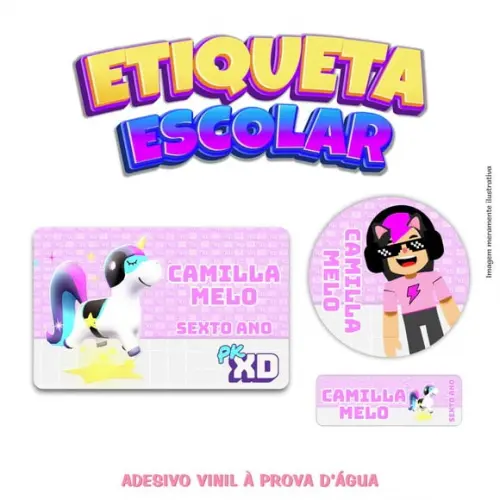 Kit Etiqueta Escolar em Vinil - Pkxd Menina