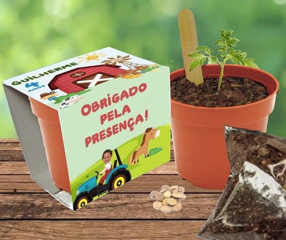 Lembrancinha Fazendinha Kit Plantio Personalizado