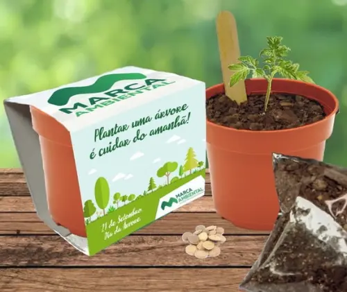 Brinde para Dia da Árvore - Lembrancinha Kit Plantio