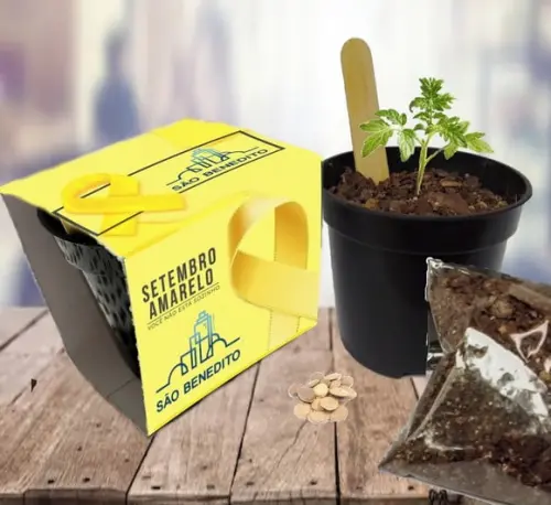 Brinde para Setembro Amarelo - Lembrancinha Kit Plantio
