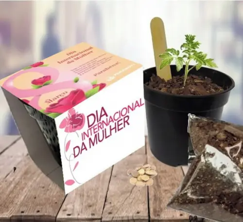 Dia Internacional da Mulher - Lembrancinha