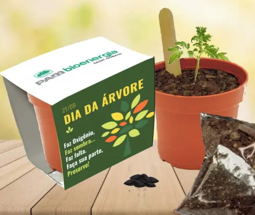 Brindes Corporativos - 20 Lembrancinhas Dia do Meio Ambiente