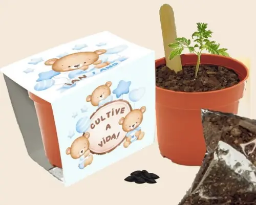 Kit Plantio Personalizado- 20 Lembrancinhas para Aniversário