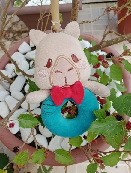 Chocalho Capivara