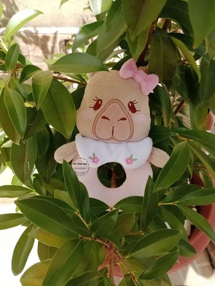 Chocalho Capivara