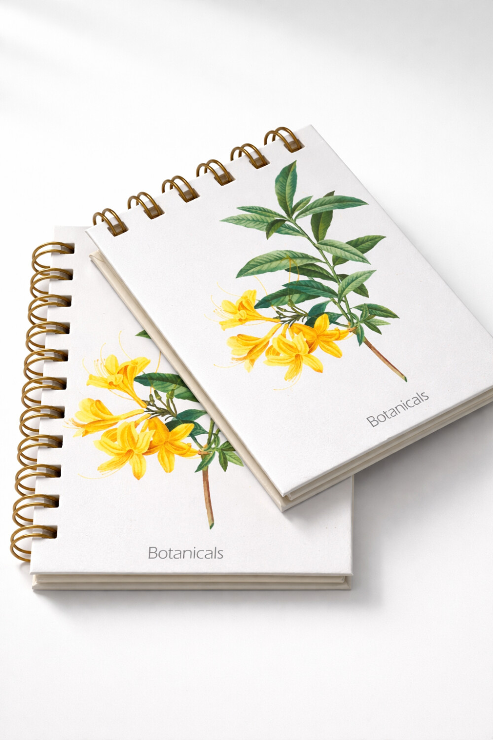 Kit caderno e bloco