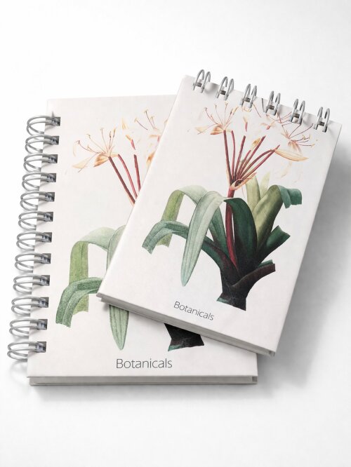 Kit caderno e bloco