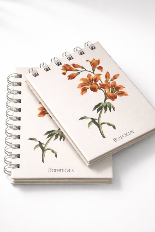 Kit caderno e bloco