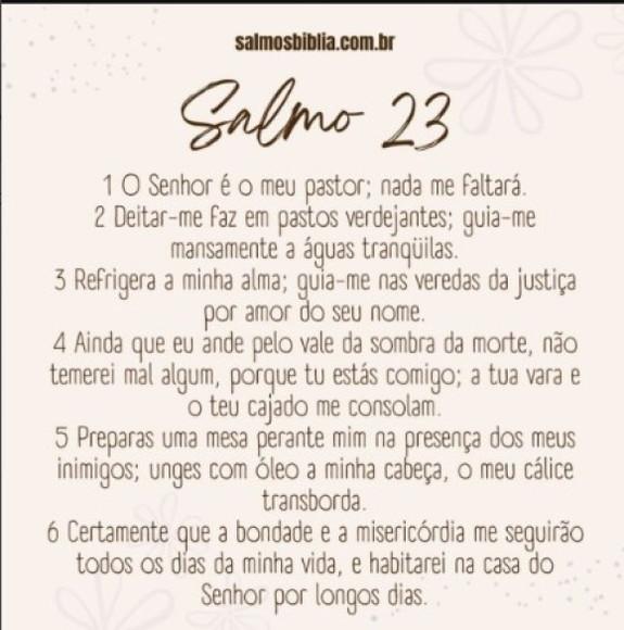 Cajado Pastor Salmo 23 N.sra Aparecida. 80cm