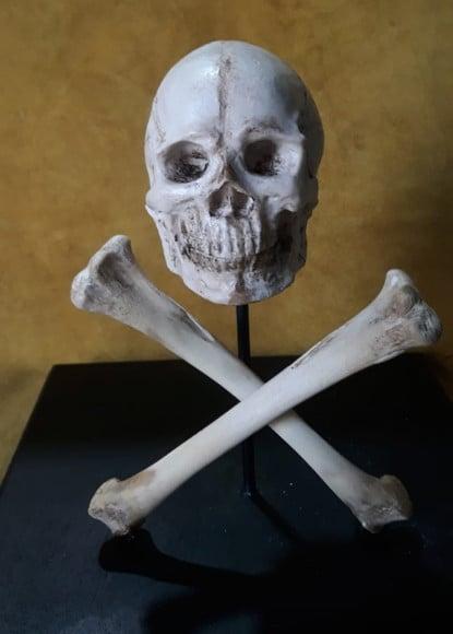 Caveira de Pirata Pó de Osso de Boi