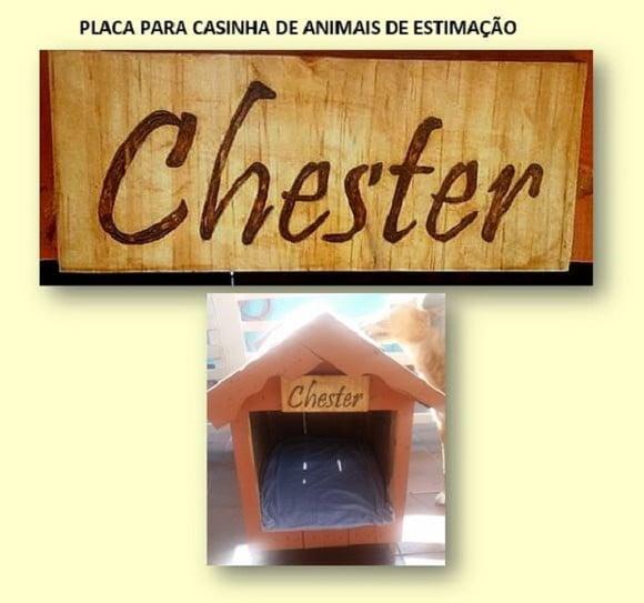 PLACA PARA CASINHA DE PETs 18x13