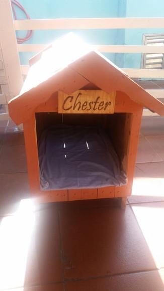 PLACA PARA CASINHA DE PETs 18x13