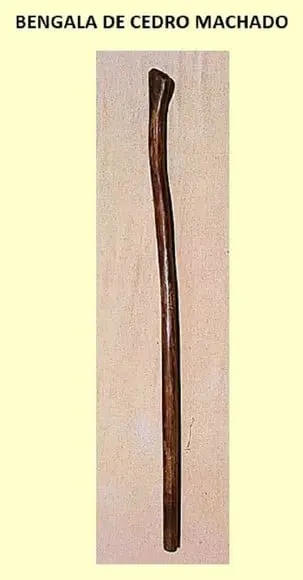 Bengala Cabo de Machado - 90cm