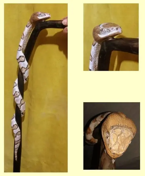 Bengala Cobra - 90cm