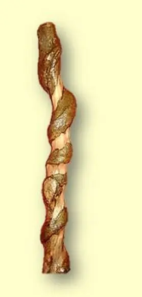 Cajado Torcido Mod. 01 - 180cm
