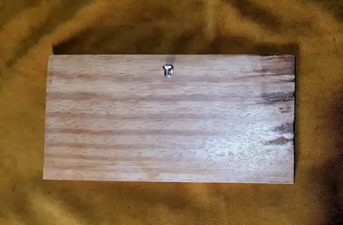PLACA PARA CASINHA DE PETs COM DESENHO 30x15