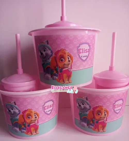 Kit Cineminha Skye e Everest