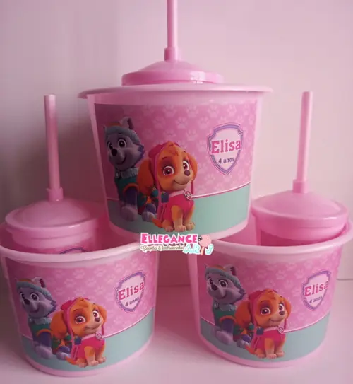 Kit Cineminha Skye e Everest