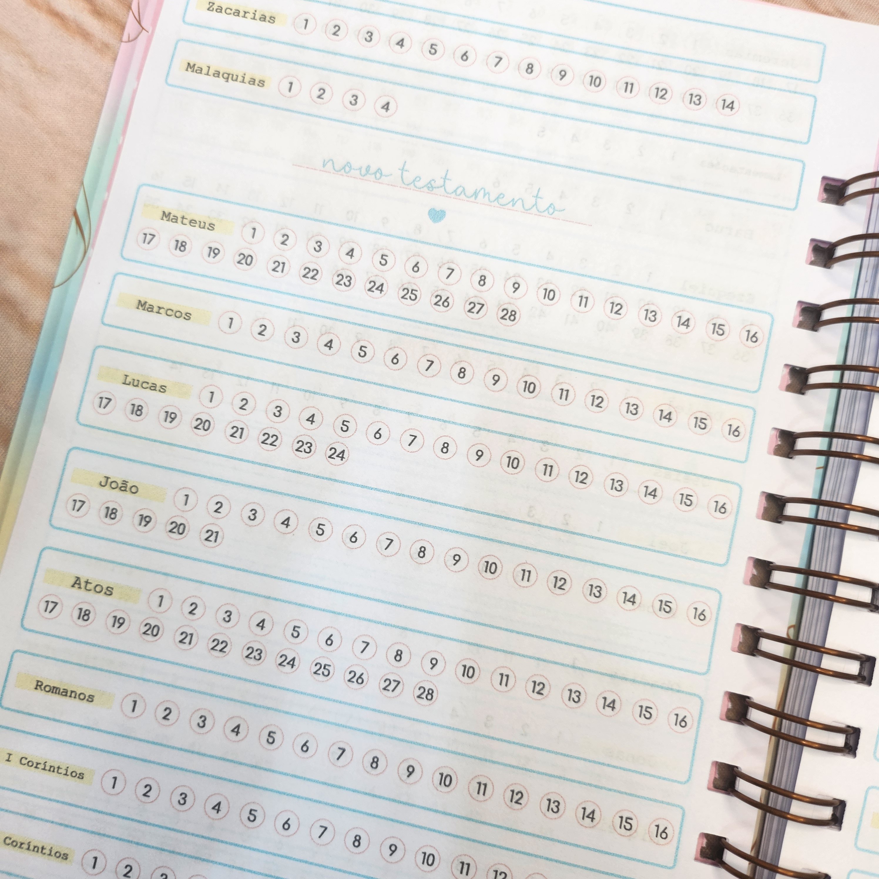 Caderno Devocional Gratidão Candy Personalizado