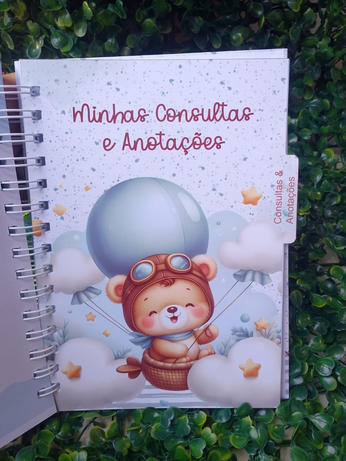 Caderneta de saúde Ursinho aviador com divisórias