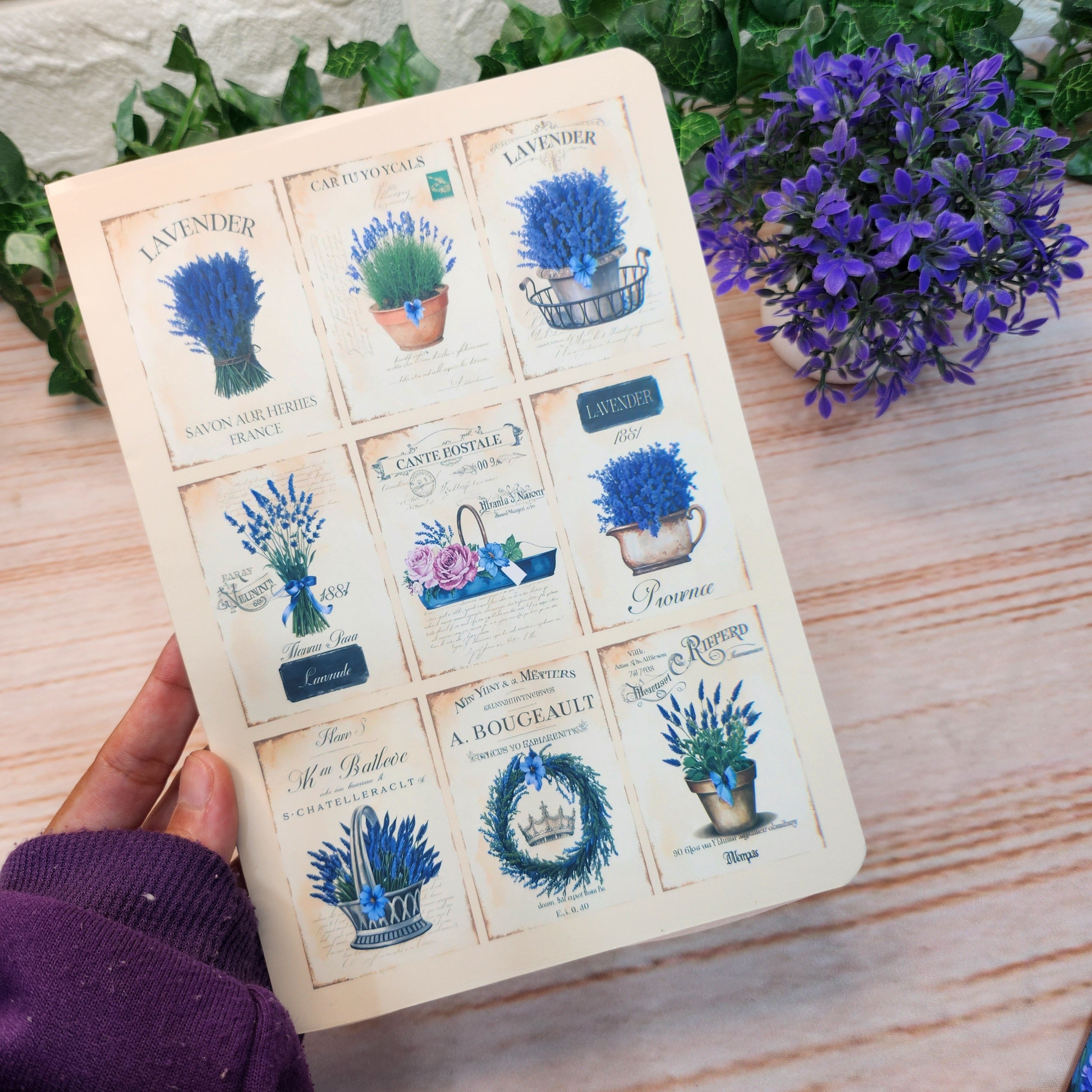Caderno Midori Lavanda Garden Kit 4 unidades l A5 Midori l Anotaç