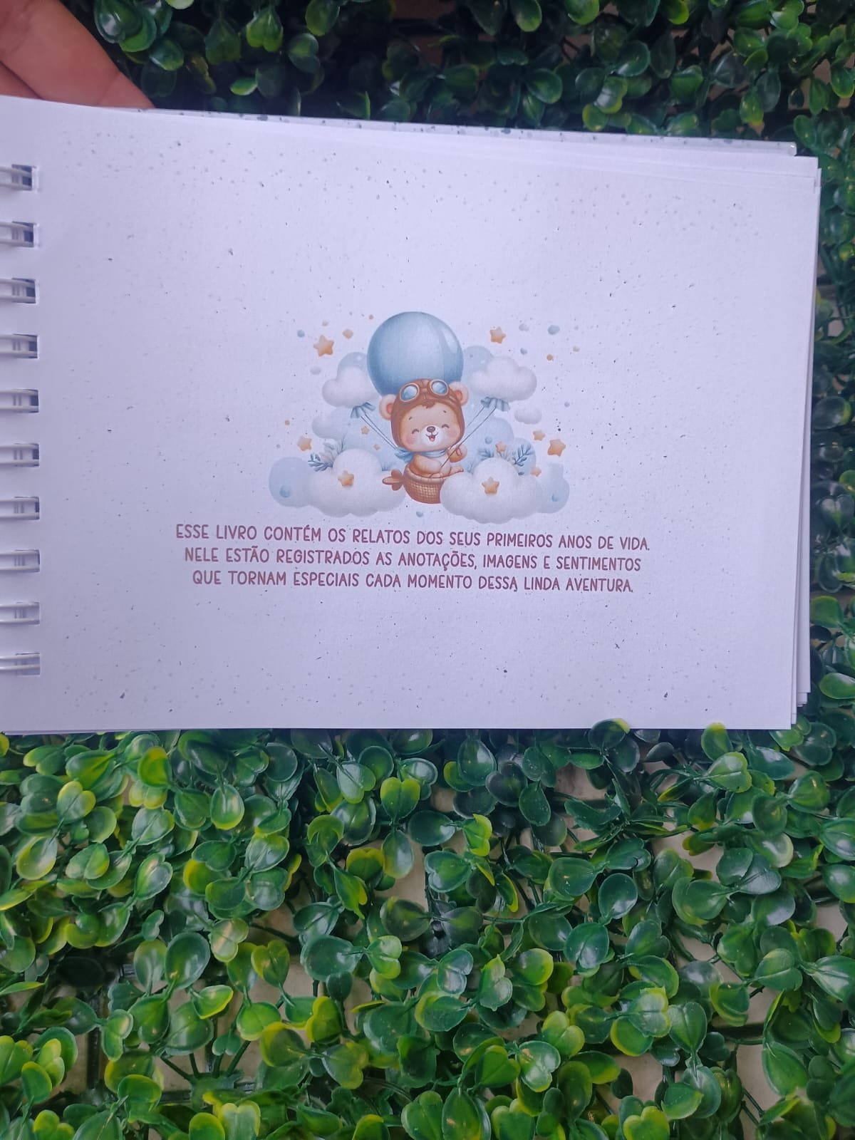 Kit do bebê ursinho aviador