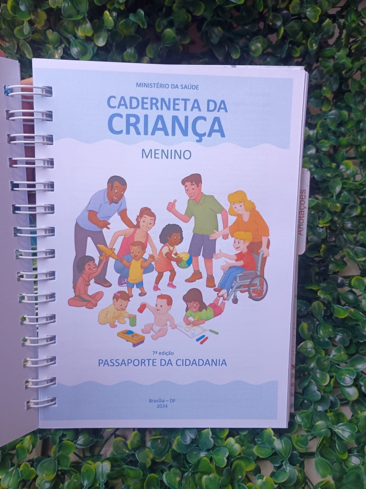 Caderneta de saúde Ursinho aviador com divisórias