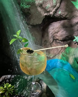 Pirulito de cristal mexedor de bebidas com especiarias para drink