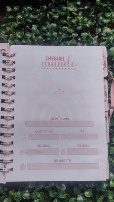 caderneta de saúde Arco íris com divisórias