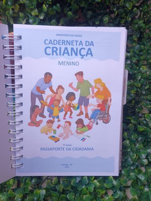 Caderneta de saúde Ursinho aviador com divisórias